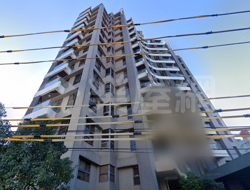 麗景資訊