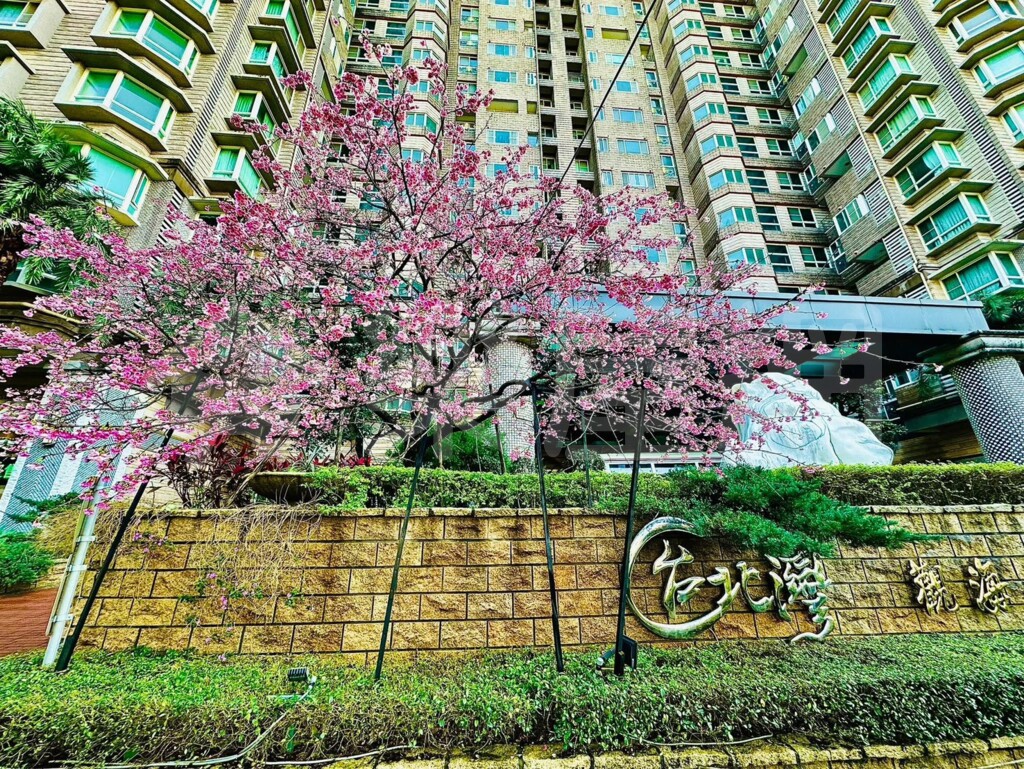 台北灣2觀海/台北灣B區大樓區