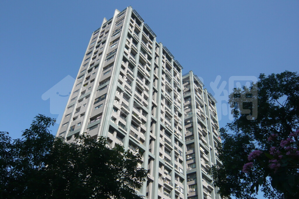 中港奇摩市資訊