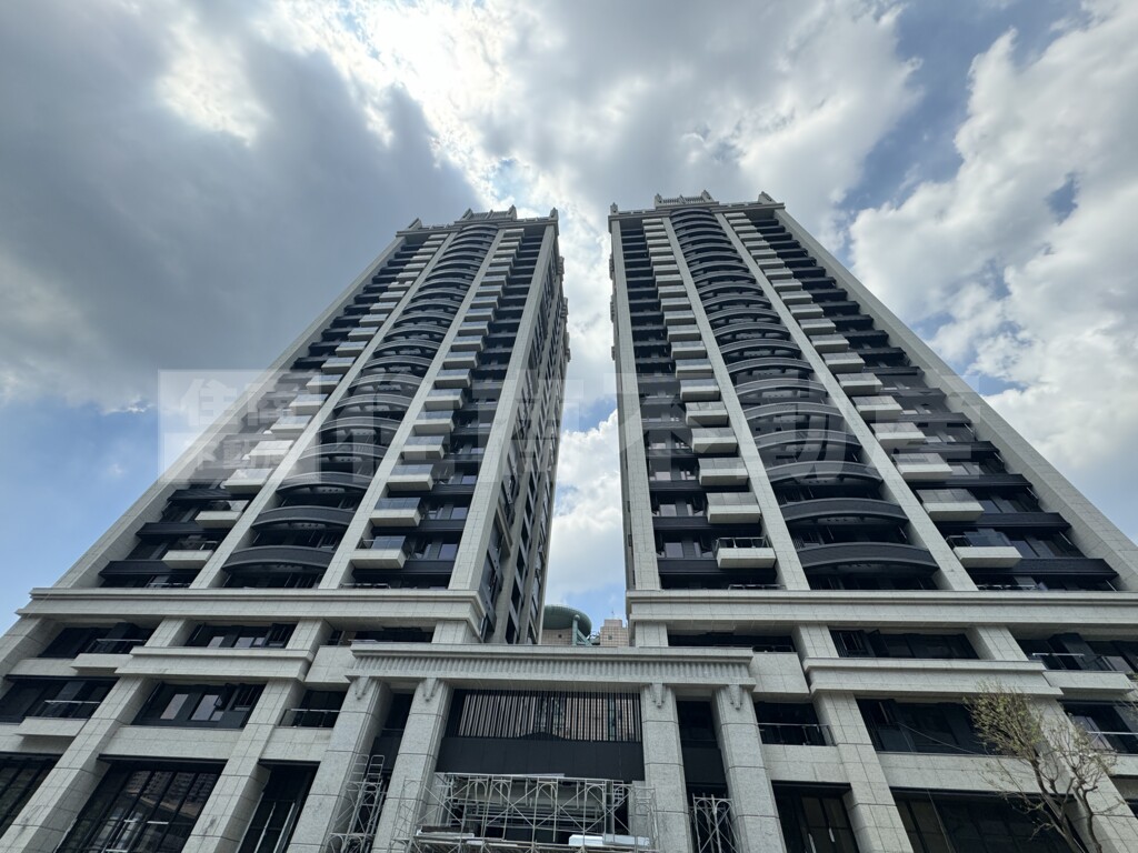 擎天森林資訊