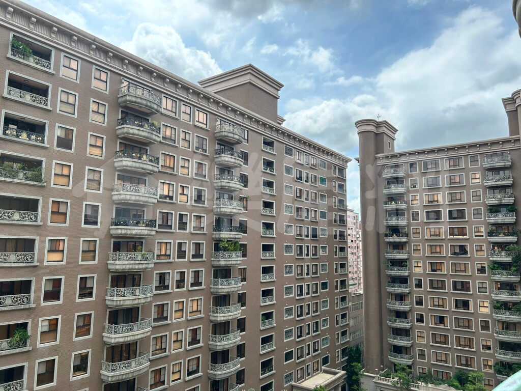中悅新天鵝堡資訊