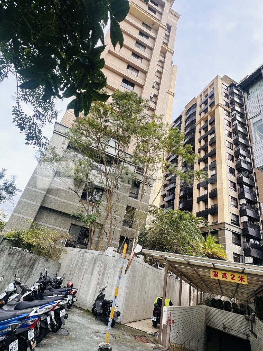 天母樂活資訊
