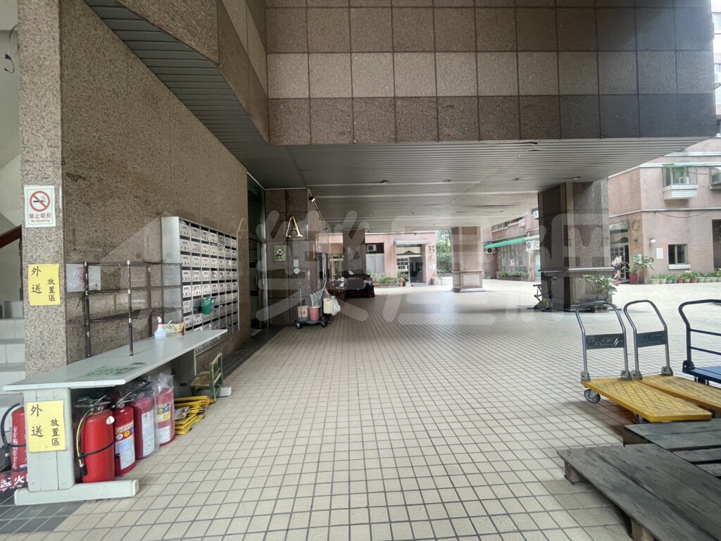 中國金典資訊
