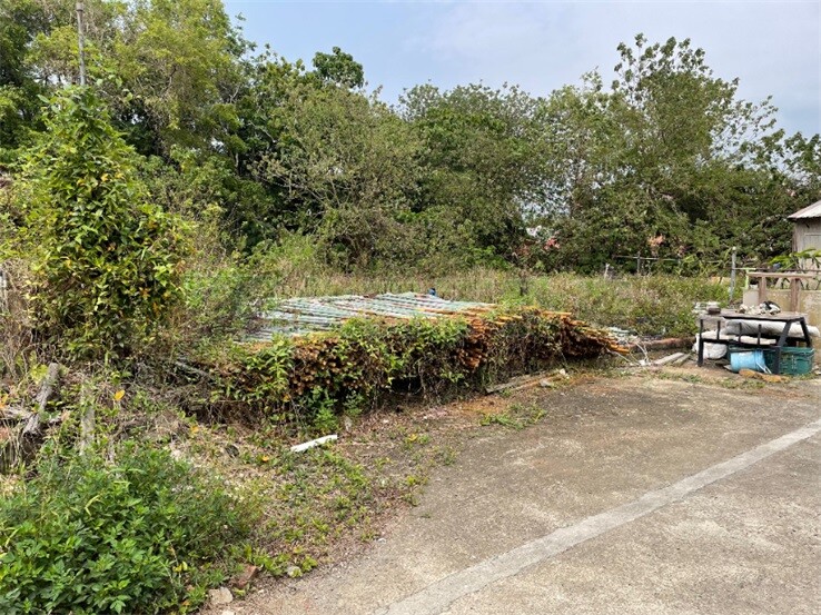 玉井後旦街方正建地