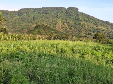樂屋_旗山區待售房屋 旗山區待售房屋