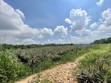 樂屋_鳥松區待售房屋 鳥松區待售房屋