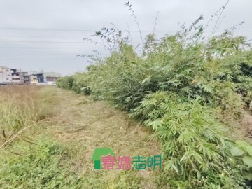 白河區待售房屋