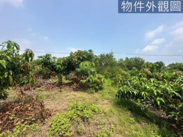 官田區待售房屋