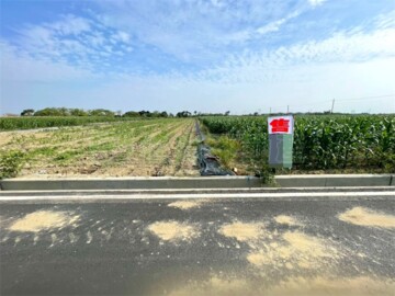 鹽水區待售房屋