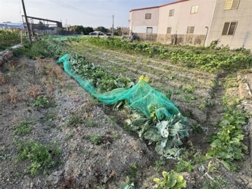 樂屋_西區待售房屋 西區待售房屋
