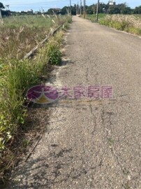 成功發財方正美田