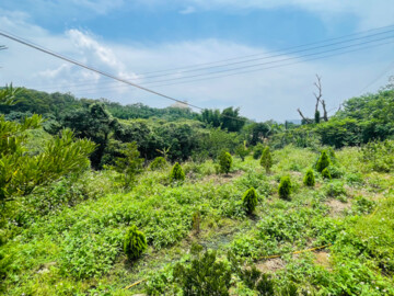 淡水區待售房屋