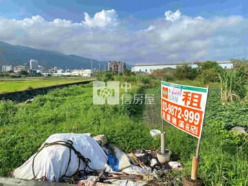 十六結開心農場小農地 - Image 1