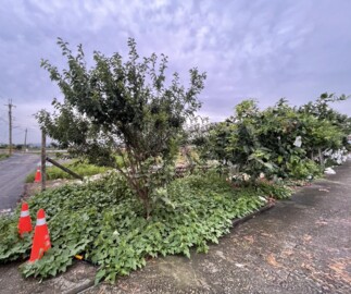 樂屋_芬園鄉待售房屋 芬園鄉待售房屋