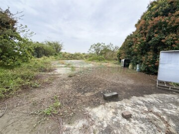 新港中工段農地 - Image 1