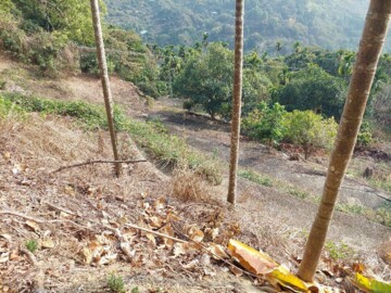 太平區待售房屋