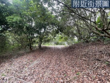樂屋_大樹區待售房屋 大樹區待售房屋