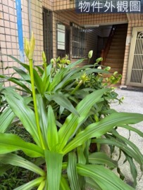 樂屋_境美MRT待售房屋 境美MRT待售房屋