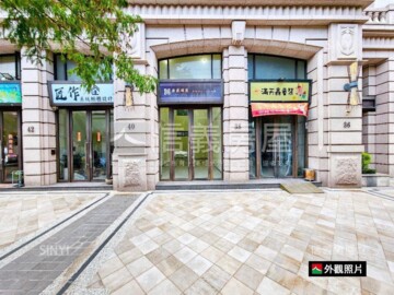 鼎藏璞麗待售房屋