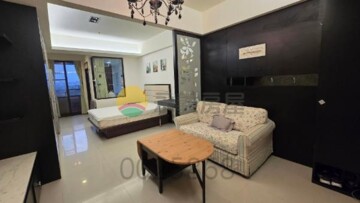 摩納哥待售房屋