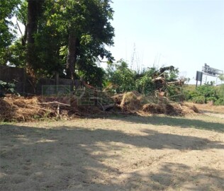 水上鄉待租房屋