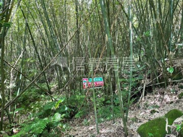 樂屋_文山區待售房屋 文山區待售房屋