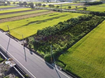 莿桐鄉待售房屋