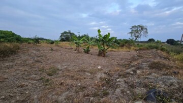 中埔鄉待售房屋