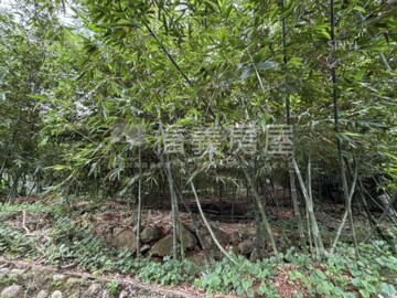 樂屋_士林區待售房屋 士林區待售房屋