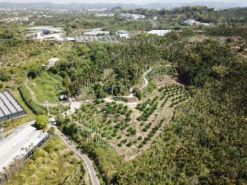 中埔鄉待售房屋