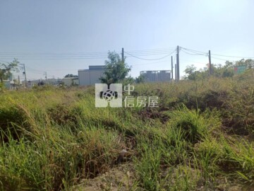 □臨旗楠路/方正/有水電/都內農地■