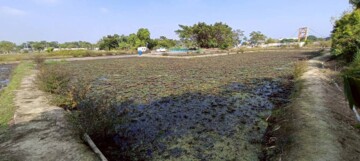 官田區待售房屋