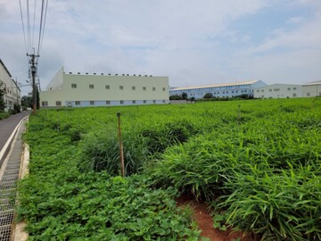 樂屋_清水區待售房屋 清水區待售房屋