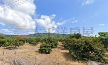 泰山買房賣屋鄉春臨路農地