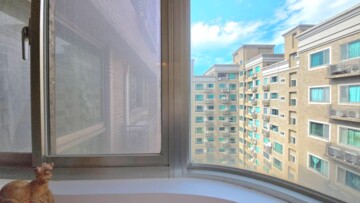 樂屋_竹城富士待售房屋 竹城富士待售房屋