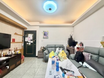 樹孝傳奇待售房屋