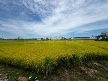 員林市待售房屋