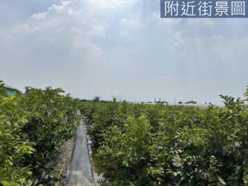 樂屋_阿蓮區待售房屋 阿蓮區待售房屋