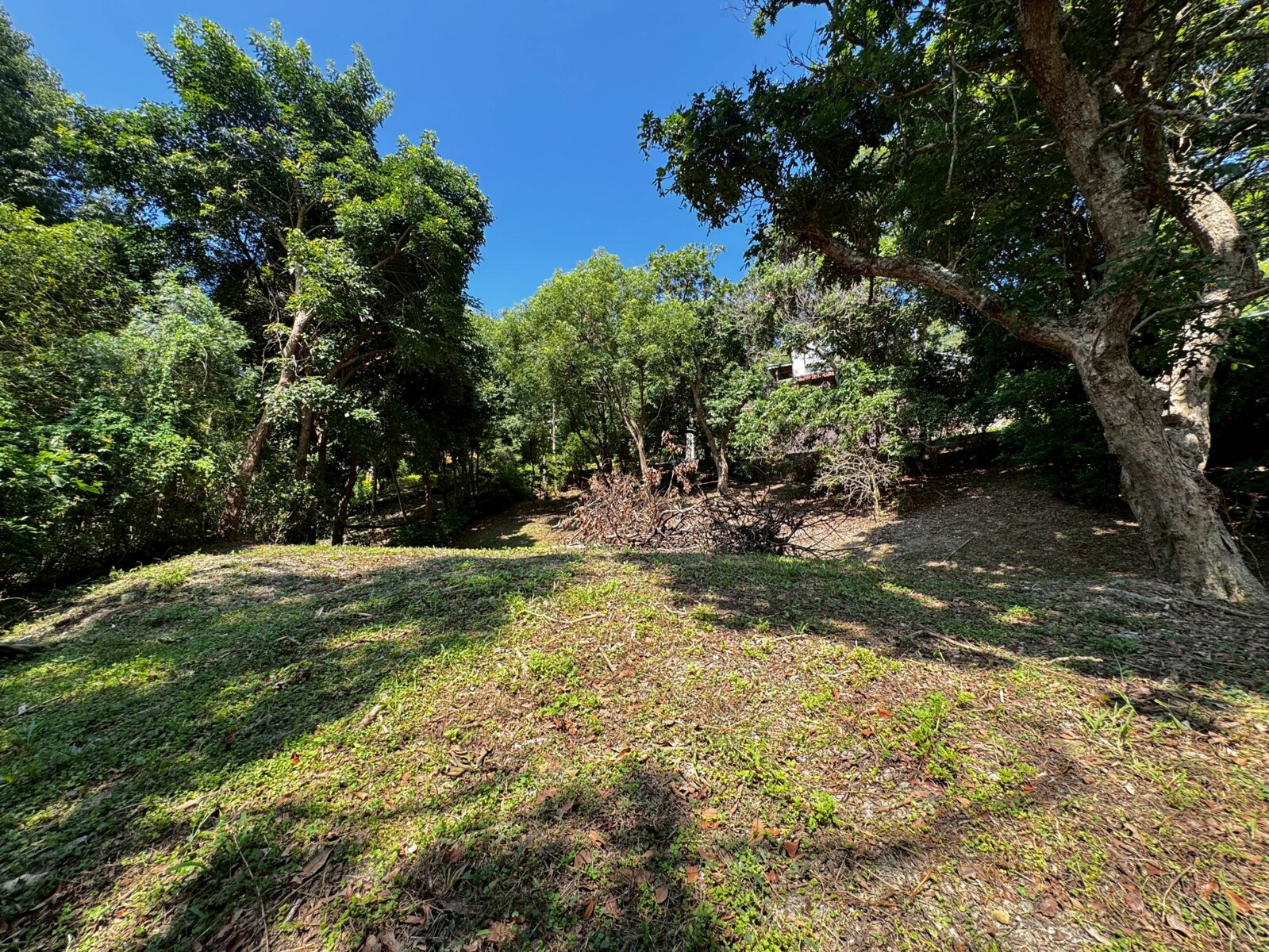 承義佩樺｜苗栗社區型地貌美農地