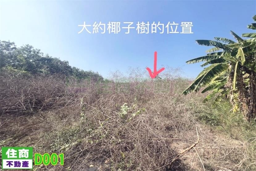 安南國聖段重劃農地