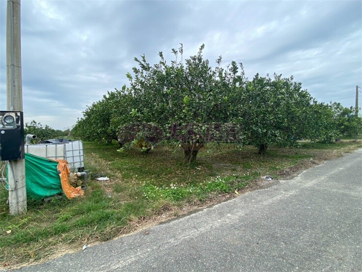 麻豆前後班段都內農地