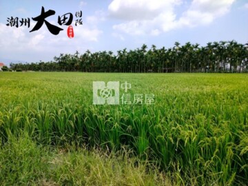 崁頂鄉待售房屋
