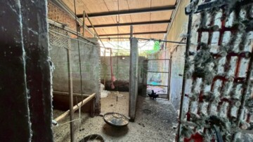 龍潭區待售房屋