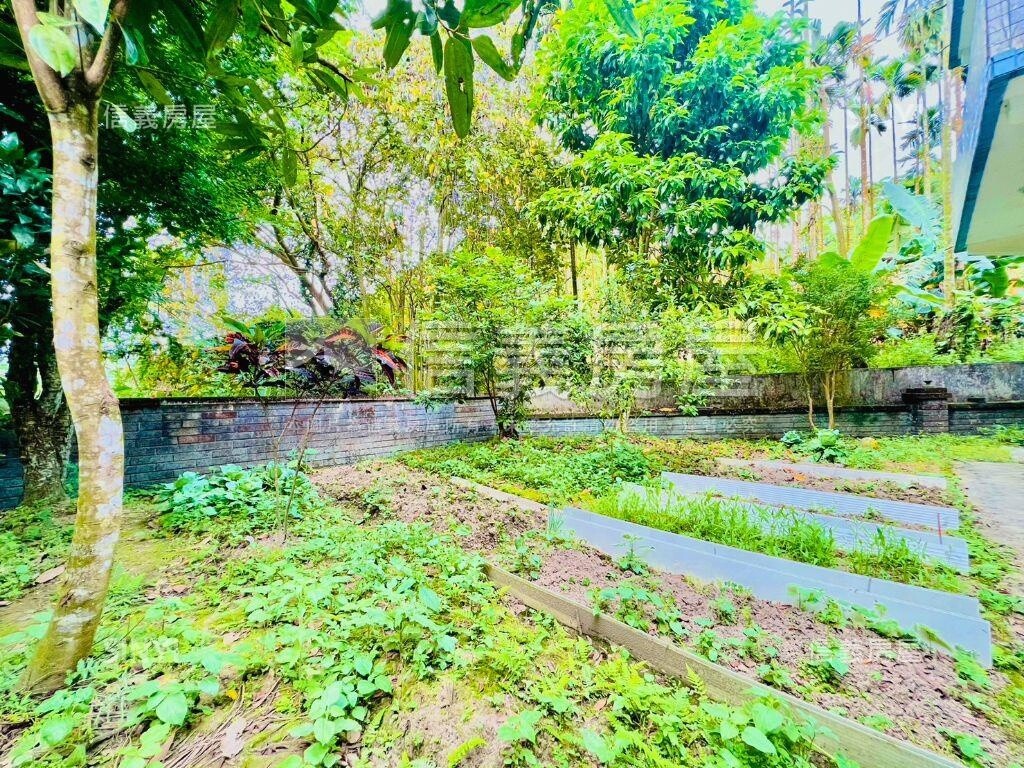 靜謐星空＊青山綠水透天