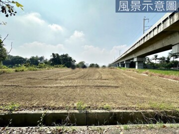 善化大面寬平整農地