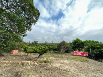 古坑鄉待售房屋