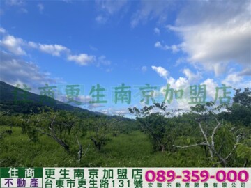 樂屋_卑南鄉待售房屋 卑南鄉待售房屋