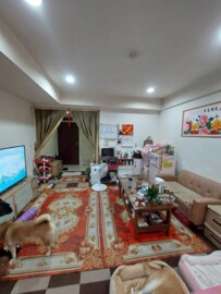 樂屋_大順小財神/LV星鑽待售房屋 大順小財神/LV星鑽待售房屋