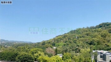 圓山藏富待售房屋