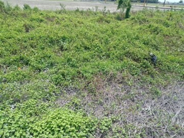 水林鄉待售房屋